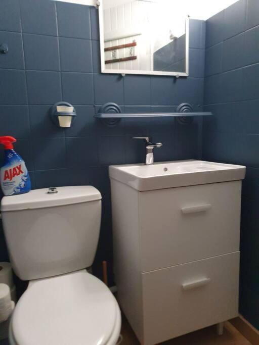 Studio Equipe Et Meuble St Cyprien Saint-Cyprien  Ngoại thất bức ảnh